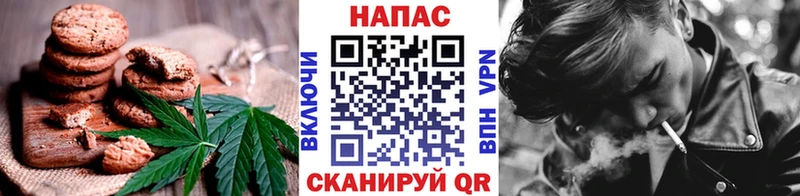 дарнет шоп  Злынка  Canna-Cookies марихуана 