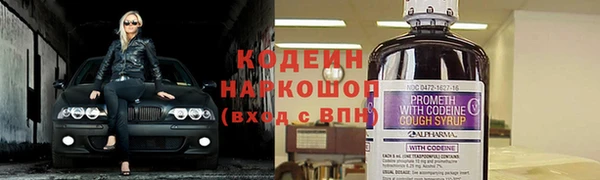 a pvp Алзамай