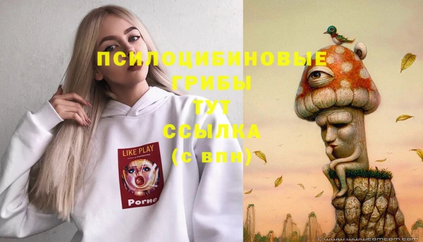 мескалин Алексин